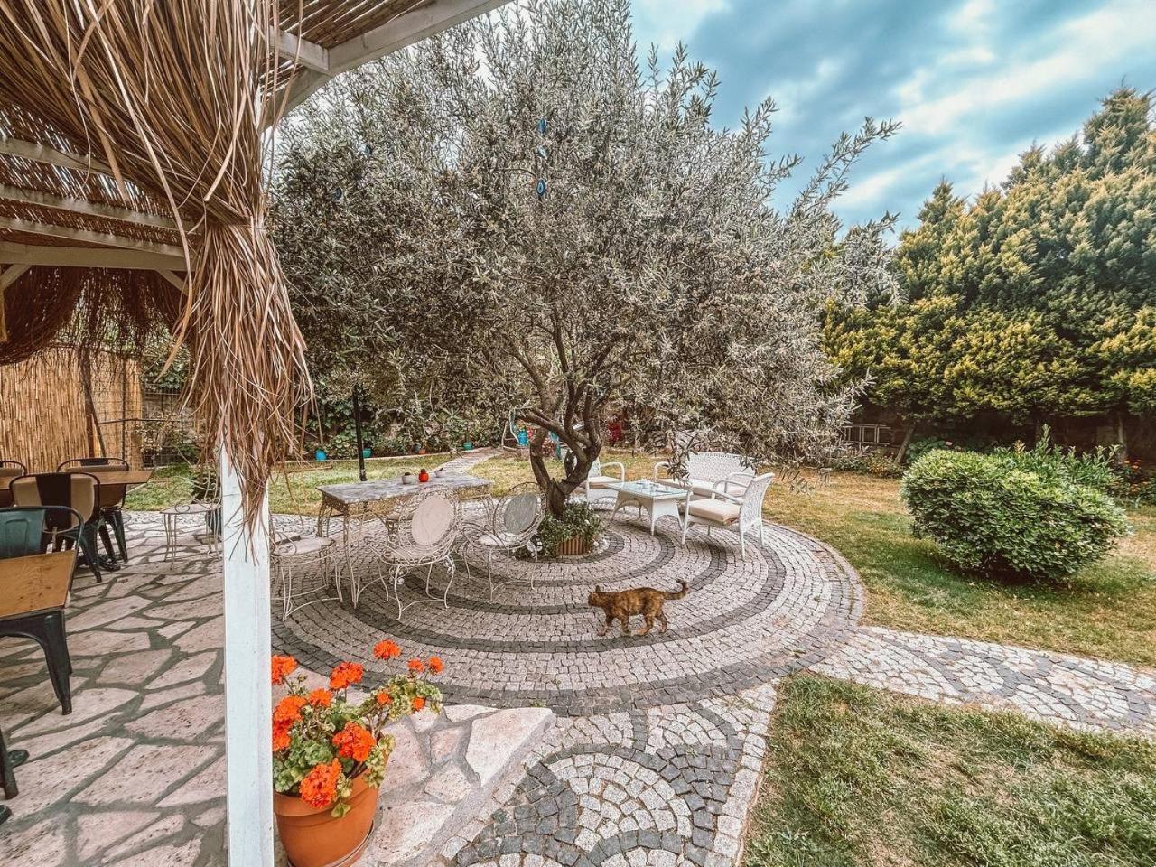 Eden Selene Hotel Ayvalik Ngoại thất bức ảnh