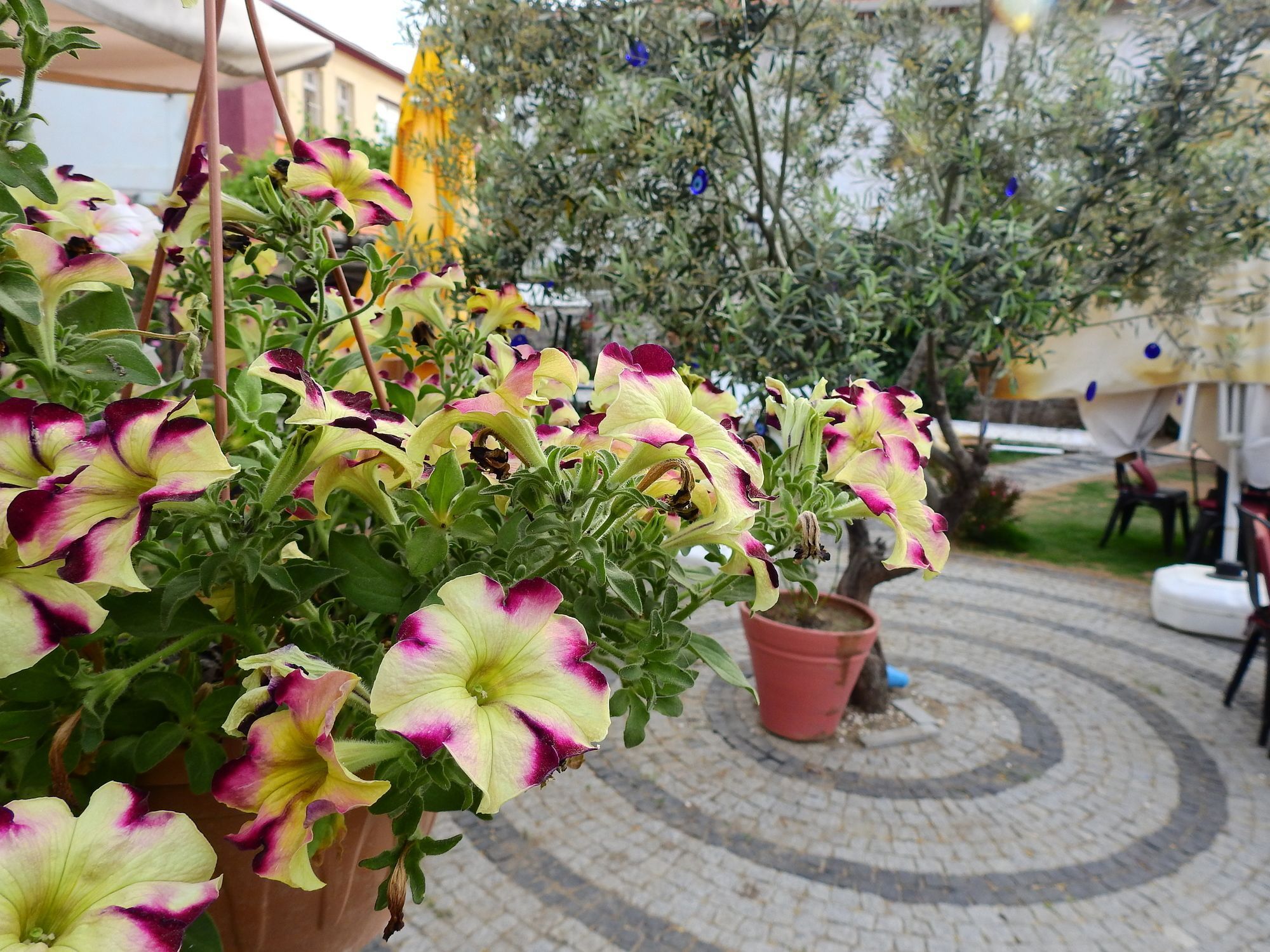 Eden Selene Hotel Ayvalik Ngoại thất bức ảnh